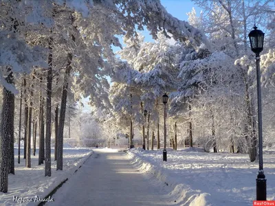 Зимний колорит Сургута: Фото на любой вкус и размер