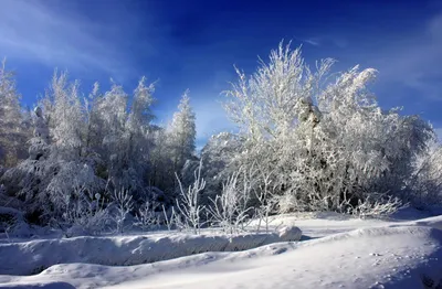 Фотографии зимнего чуда в Сургуте: Выбирайте свой формат