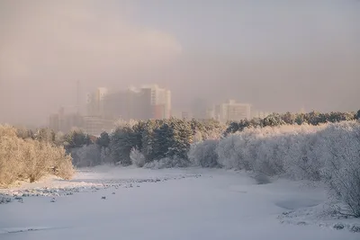 Фотографии Сургута в зимнем наряде: Скачивайте в любом формате