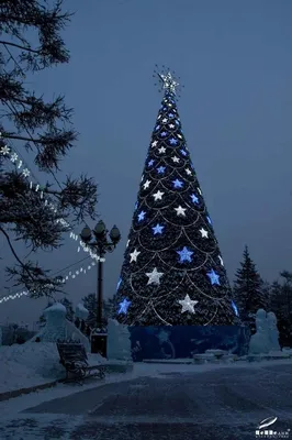Зимние краски Сургута: Фотоальбом с возможностью скачивания