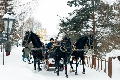 Визуальный праздник: Фотографии Нового года в Суздале