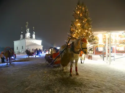 Волшебные краски Нового года: Суздаль в фотографиях