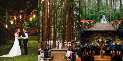 Свадьба в лесу  фото