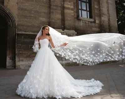 Чудесные свадебные платья с бабочками в формате PNG