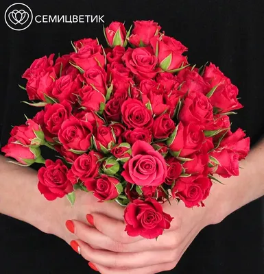 Свадебный букет из красных роз фотографии
