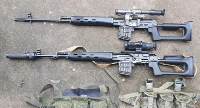 Изображение Сибирского тигра для скачивания в png