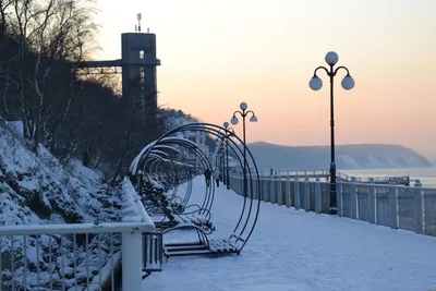 Зимний калейдоскоп: Разнообразие зимних образов города