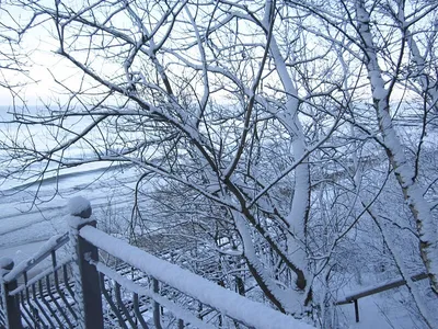 Белые стихии: Зимние пейзажи города