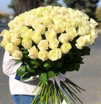 Очаровательные светлые розы на картинке