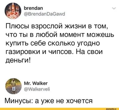 Свежие прикольные картинки с надписью, чтобы поднять вам настроение!