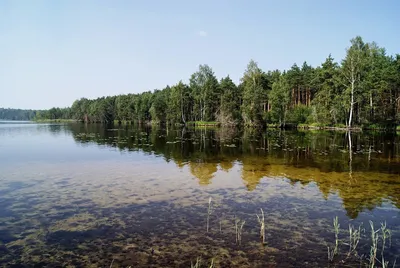 Панорамные фото Святого озера Ивановская область - выберите размер и формат для скачивания