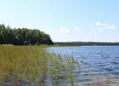 Уникальное фото Святого озера: близость с природой