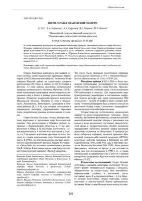 Мир под водой: таинственная жизнь на Святом озере Ивановской области 