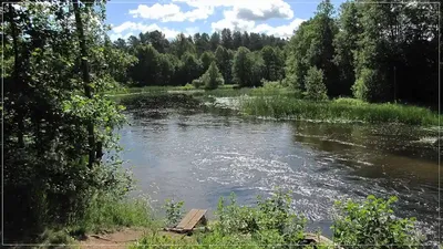 Картинка-фон Святогорского монастыря: спокойствие природы