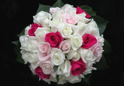 Фото розы: красивое изображение в формате png