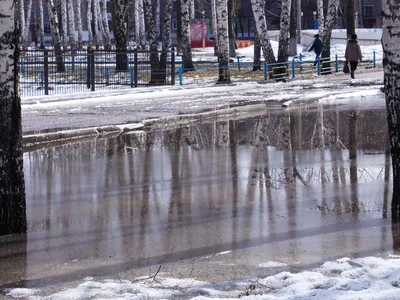 Снежная абстракция: Фото, застывшее в момент таяния