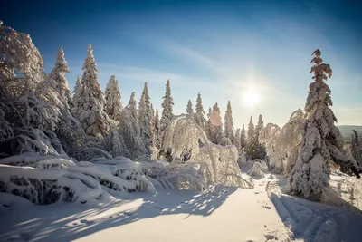 Замороженная красота Таганая: WebP формат прикосновений к зиме