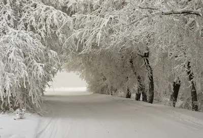 Таганрог в декабре: Фотографии с насыщенными зимними оттенками