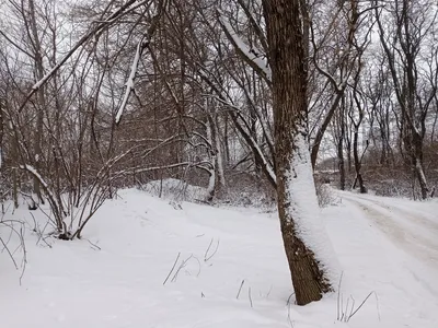 Зимний фотоальбом Таганрога: Красочные изображения для скачивания