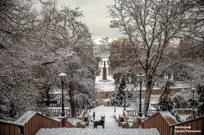 Зимний фотоальбом города: Индивидуальный выбор формата и размера