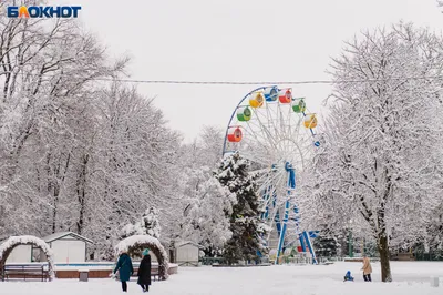 Зимний этюд: Красивые фотографии Таганрога