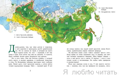 Красивые обои на телефон с тайгой леса