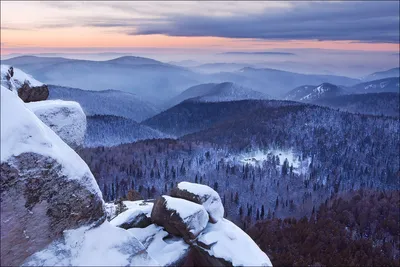 Фотоальбом зимней тайги: выбирайте формат изображения