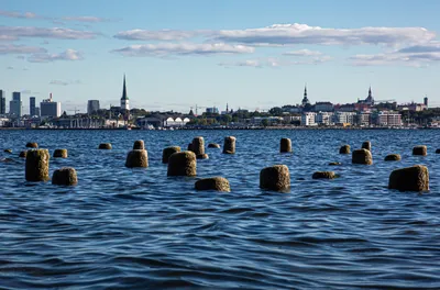 Золотистые пляжи Таллинского моря – фотографии, которые притягивают взгляды.