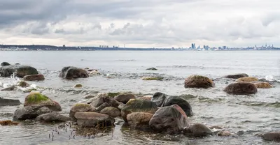 Красивые изображения Таллинского моря в хорошем качестве