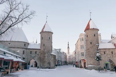 Таллин зимой: Величественные Снежные Пейзажи