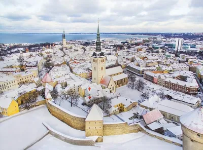 Зимний Волшебство в Таллине: Фотографии для Загадочных душ