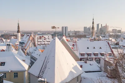 Фотографии Таллина под Снегом: Зимнее Сказочное Оформление