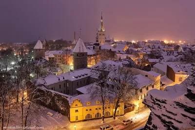 Таллин в Зимнем Платье: Фотографии для Любителей Красоты