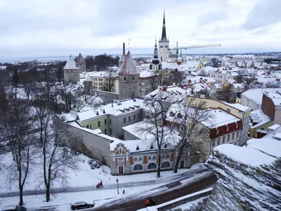 Снежные Дни в Таллине: Зимние Виды во Всей Их Красе