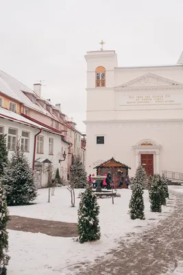 Волшебство Снегопада в Таллине: Фотоальбом зимних чудес