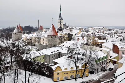 Фото Таллина в Зимний Период: Заснеженные Улицы и Архитектура