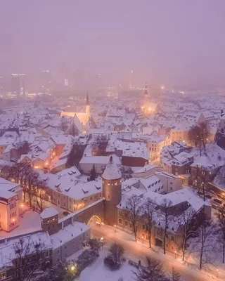 Волшебство Таллинских Улиц в Зимнее Время: Фотографии для Вас