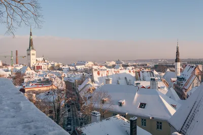 Зимние Краски Таллина: Изысканные Моменты в Фотографиях