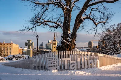 Снежные Мгновения Таллина: Фотографии для Вдохновения