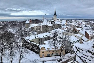 Таллин в Сиянии Зимнего Утра: Великолепные Картинки