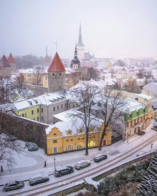 Волшебные Зимние Уголки Таллина: Фотографии, Которые Не оставят равнодушными