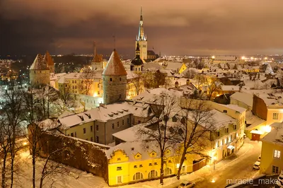 Ледяные Узоры и Сказочные Пейзажи Таллина зимой: Фотоотчет