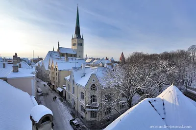 Таллинский Зимний Альбом: Великолепные Изображения для Загрузки