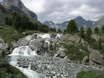 Тальниковый водопад: картина природы в фотоформате