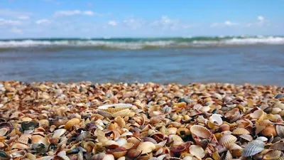 Лучшие фото пляжа Тамань