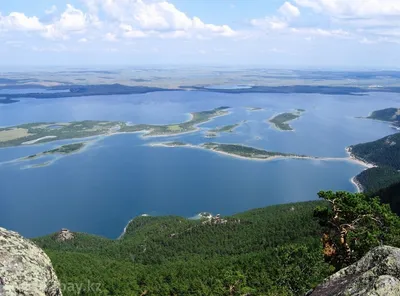 Энергия движения: танцы берез в Боровом