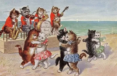 Танцевальный феерверк: Коты показывают свои таланты!