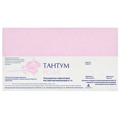 Фото розы Тантум роза в формате webp для скачивания