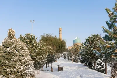 10. Прекрасные зимние моменты в Ташкенте: Скачайте фото в JPG, PNG, WebP