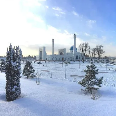 25. Уютная зима в Ташкенте: Выберите размер изображения и формат для скачивания